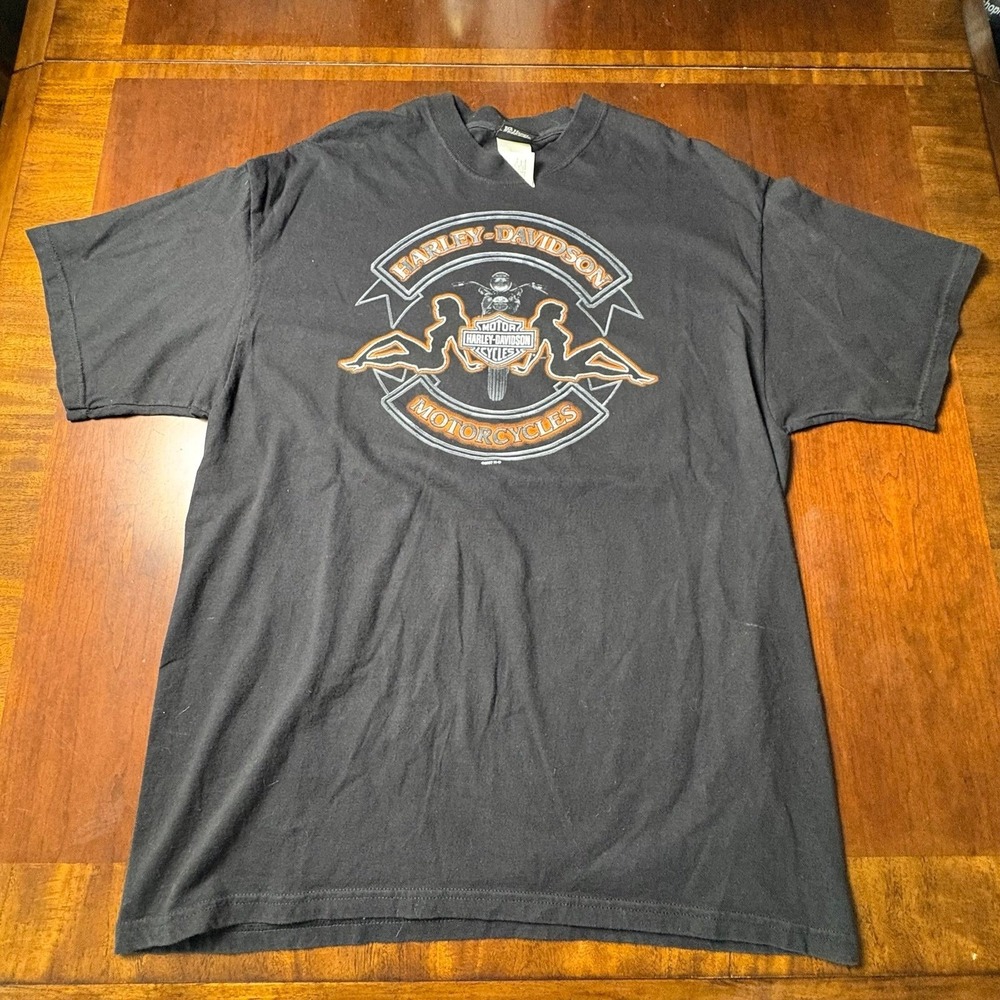 2007 Harley-Davidson Beartooth Billings Montana Pin Up Bear Graphic Tee XL 22x30